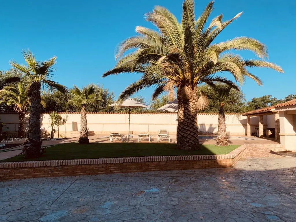 Jardín con palmeras